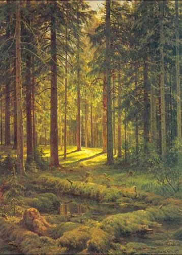 Painting Code#20165-Ivan Ivanovich Shishkin - Coniferous forest. Sunny day
