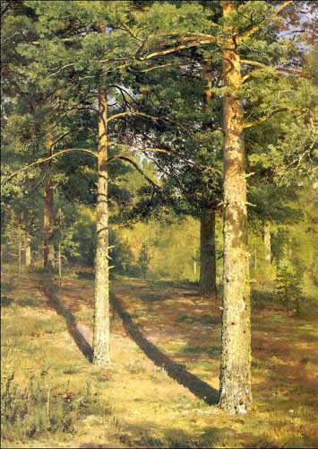 Painting Code#20171-Ivan Ivanovich Shishkin - Sunny pine-tree
