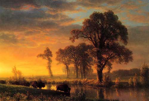 Painting Code#20286-Bierstadt, Albert(USA) - Western Kansas