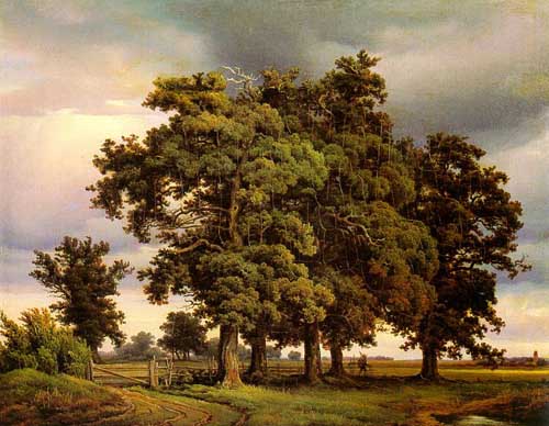 Painting Code#2157-Crola, Georg-Heinrich (Germany): Oak Trees
