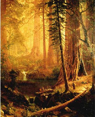 Painting Code#2427-Bierstadt, Albert(USA): Giant Redwood Trees of California 
