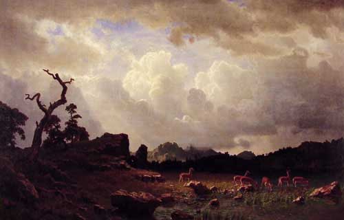 Painting Code#2467-Bierstadt, Albert(USA): Thunderstorm in the Rocky Mountains