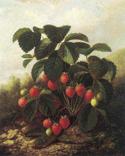 Painting Code#3146-Lacroix, Paul(USA): Wild Strawberries