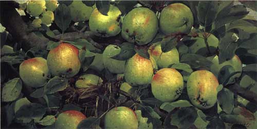 Painting Code#3678-Joseph Decker - Green Apples