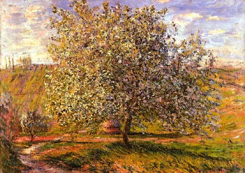 Painting Code#41282-Monet, Claude - Tree in Flower near Vetheuil