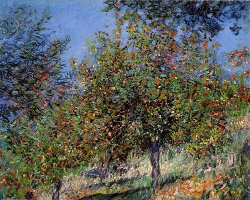 Painting Code#41311-Monet, Claude - Apple Trees on the Chantemesle Hill