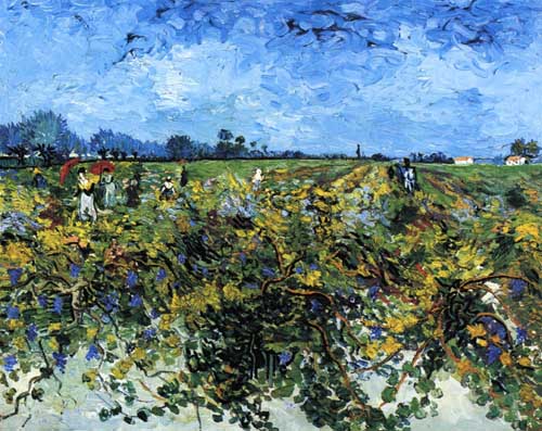 Painting Code#41601-Vincent Van Gogh - The Green Vinyard