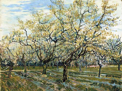 Painting Code#41613-Vincent Van Gogh - The White Orchard