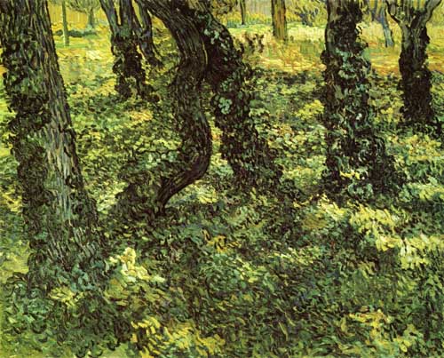 Painting Code#41616-Vincent Van Gogh - Trunks of Trees with Ivy