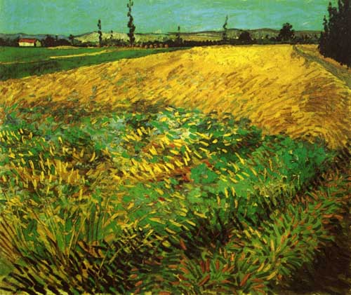 Painting Code#41637-Vincent Van Gogh - Wheat Field with the Alpilles Foothills in the Background
