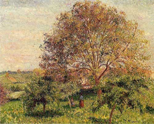 Painting Code#41995-Pissarro, Camille - Walnut Tree in Spring