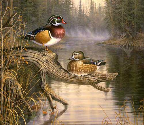 Painting Code#5007-Mandarin Ducks