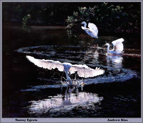 Painting Code#5026-Snowy Egret Flock