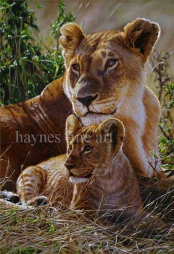 Painting Code#5039-Lioness and Cub