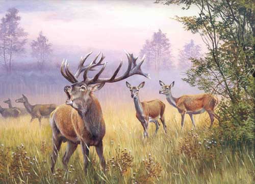 Painting Code#5046-Deers