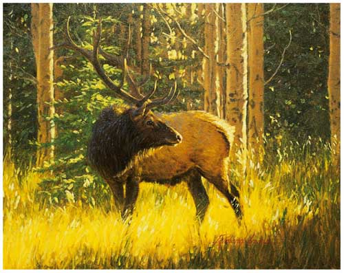 Painting Code#5053-Deer