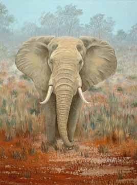Painting Code#5061-Elephant