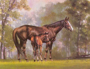 Painting Code#5079-Horses