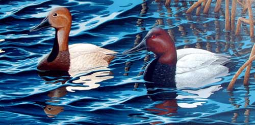 Painting Code#5080-Ducks