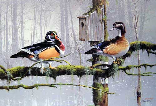 Painting Code#5082-Wood Ducks