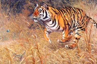 Painting Code#5085-Bengal Tiger