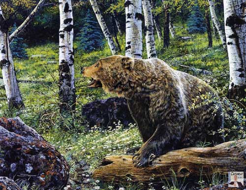 Painting Code#5094-Grizzly Bear