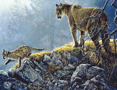 Painting Code#5099-Puma Mother and Kids