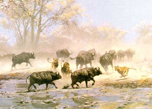 Painting Code#5108-Buffalo Bulls At Bay