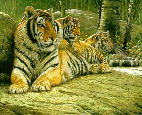 Painting Code#5115-Tigers