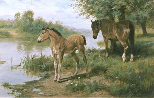 Painting Code#5119-Basil Bradley - A Mare and Her Foal