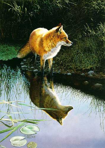 Painting Code#5121-Fox