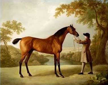 Painting Code#5127-George Stubbs - Tristram Shandy, a Bay Racehorse Held by a Groom in an Extensive Landscape