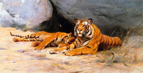 Painting Code#5147-Wilhelm Kuhnert - Tigers Resting