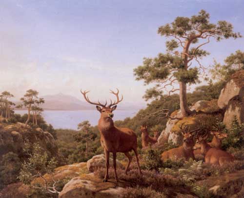Painting Code#5155-Carl Henrik Bogh - Monarch of the Deer Herd