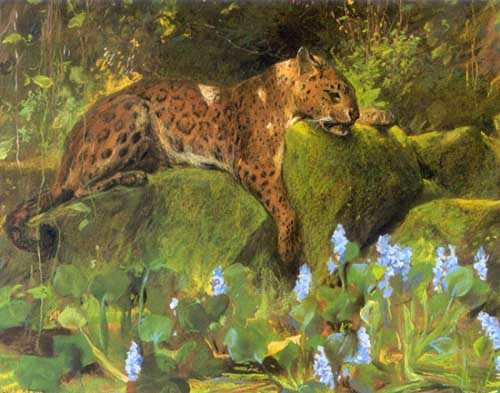 Painting Code#5179-Arthur Wardle - Resting Jaguar