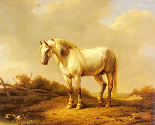 Painting Code#5183-Verboeckhoven, Eugene Joseph: A White Stallion In A Landscape