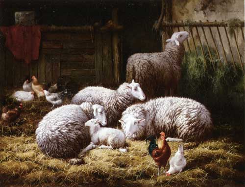 Painting Code#5197-Sluys, Theo Van(Belgium) - Sheep, Roosters and Chickens in a Barn