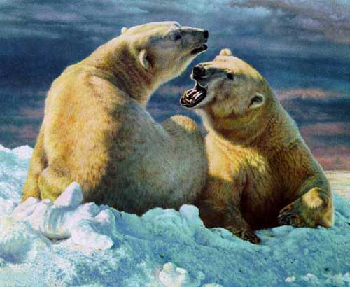Painting Code#5219-Tow Polar Bears
