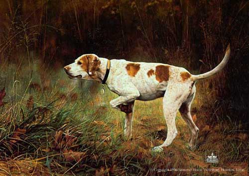 Painting Code#5229-Hound Dog