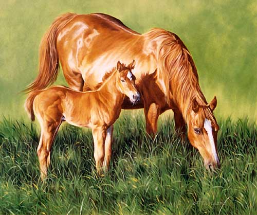 Painting Code#5233-Tow Horses