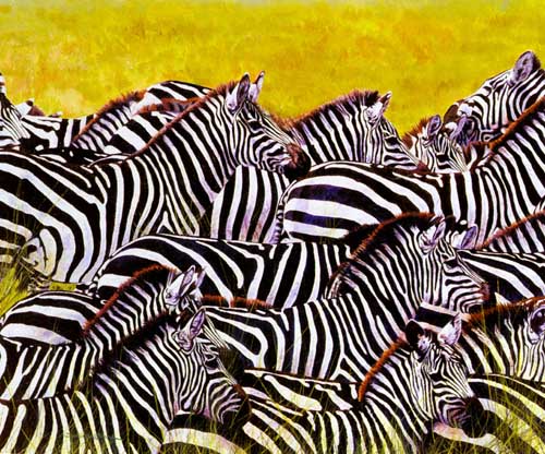 Painting Code#5241-Zebras