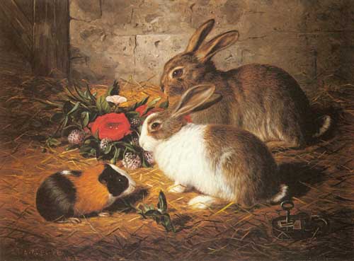 Painting Code#5242-Barber, Alfred R Escaped: Two Rabbits And A Guinea Pig