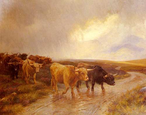 Painting Code#5244-Barker, Wright: Highland Cattle