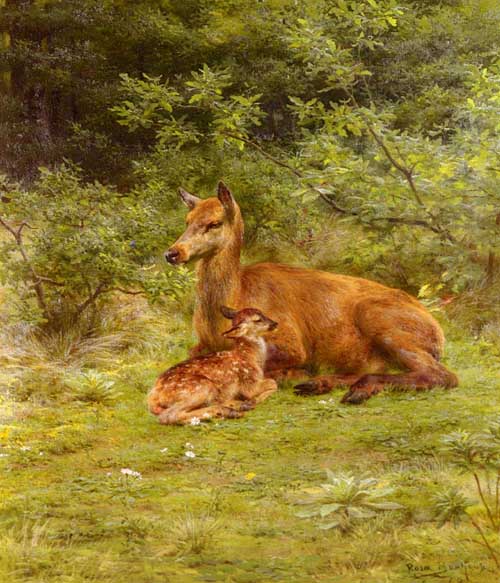 Painting Code#5249-Bonheur, Rosa Maria(France): Doe And Fawn In A Thicket