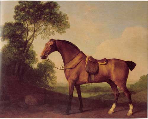 Painting Code#5262-Horse