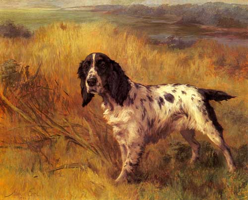 Painting Code#5263-Earl, Maud(UK): A Setter On Point