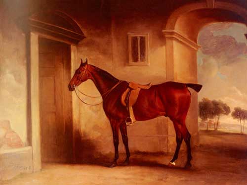 Painting Code#5271-Ferneley, Snr., John(UK): A Saddled Bay Hunter In A Stableyard