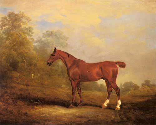 Painting Code#5275-Ferneley, Snr., John(UK): Cecil, a favorite Hunter of the Earl of Jersey in a Landscape
