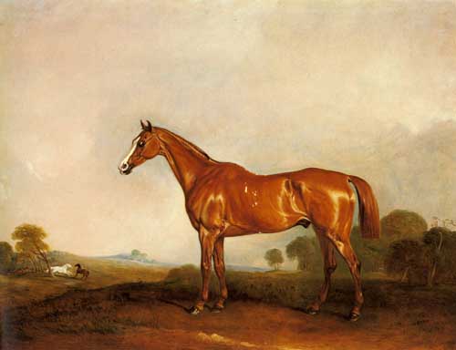 Painting Code#5277-Ferneley, Snr., John(UK): A Chestnut Hunter in a Landscape