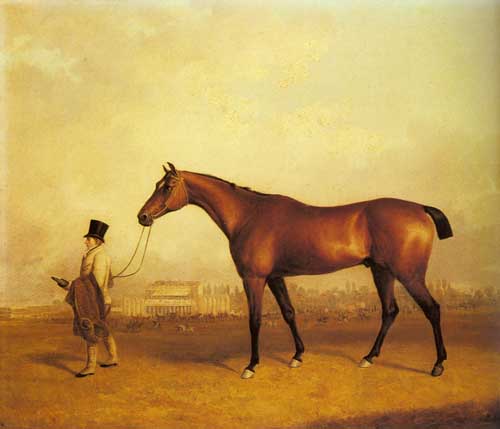 Painting Code#5278-Ferneley, Snr., John(UK): Emlius, Winter of the 1832 Derby, held by a Groom at Doncaster